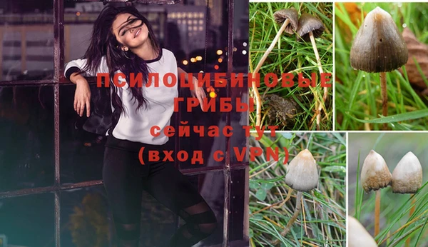 круглые Нефтегорск