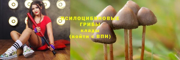 mdpv Нея