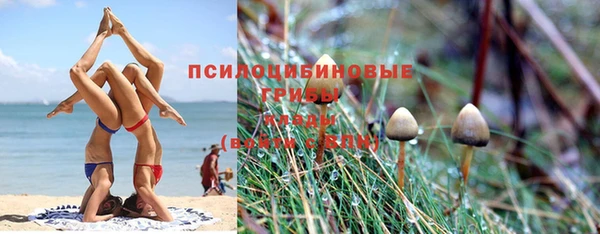 mdpv Нея