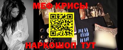 гашик Камышлов