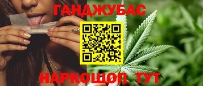 гашик Камышлов