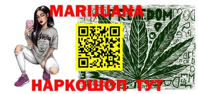 гашик Камышлов
