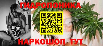 прущая мука Кандалакша