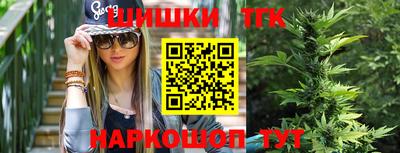 гашик Камышлов
