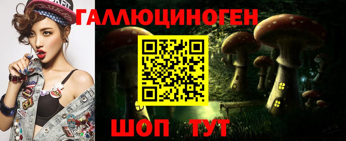 Новоалтайск  Псилоцибиновые грибы мухоморы  Вход с VPN 